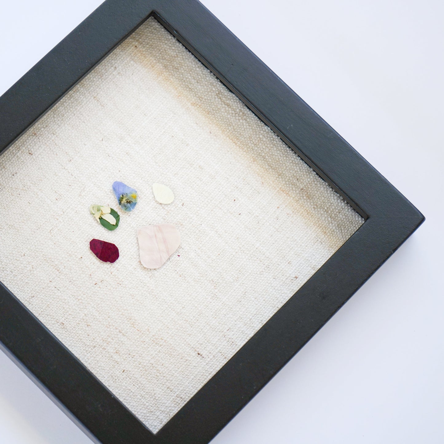 Pawprint Pressed Frame