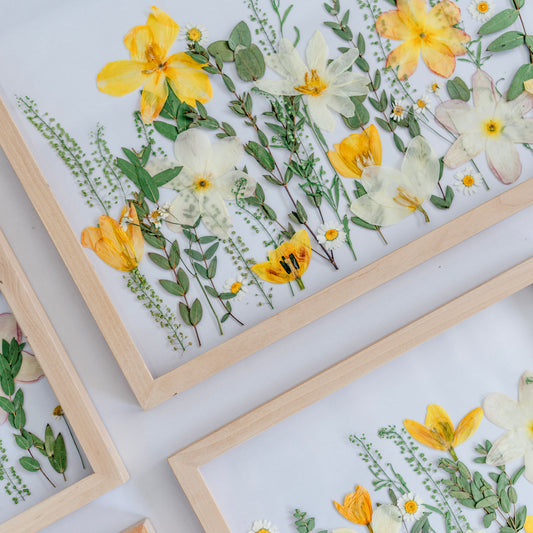 *BESTSELLER* Pressed Frame - Garden/Meadow Design (You Ship Your Flowers)