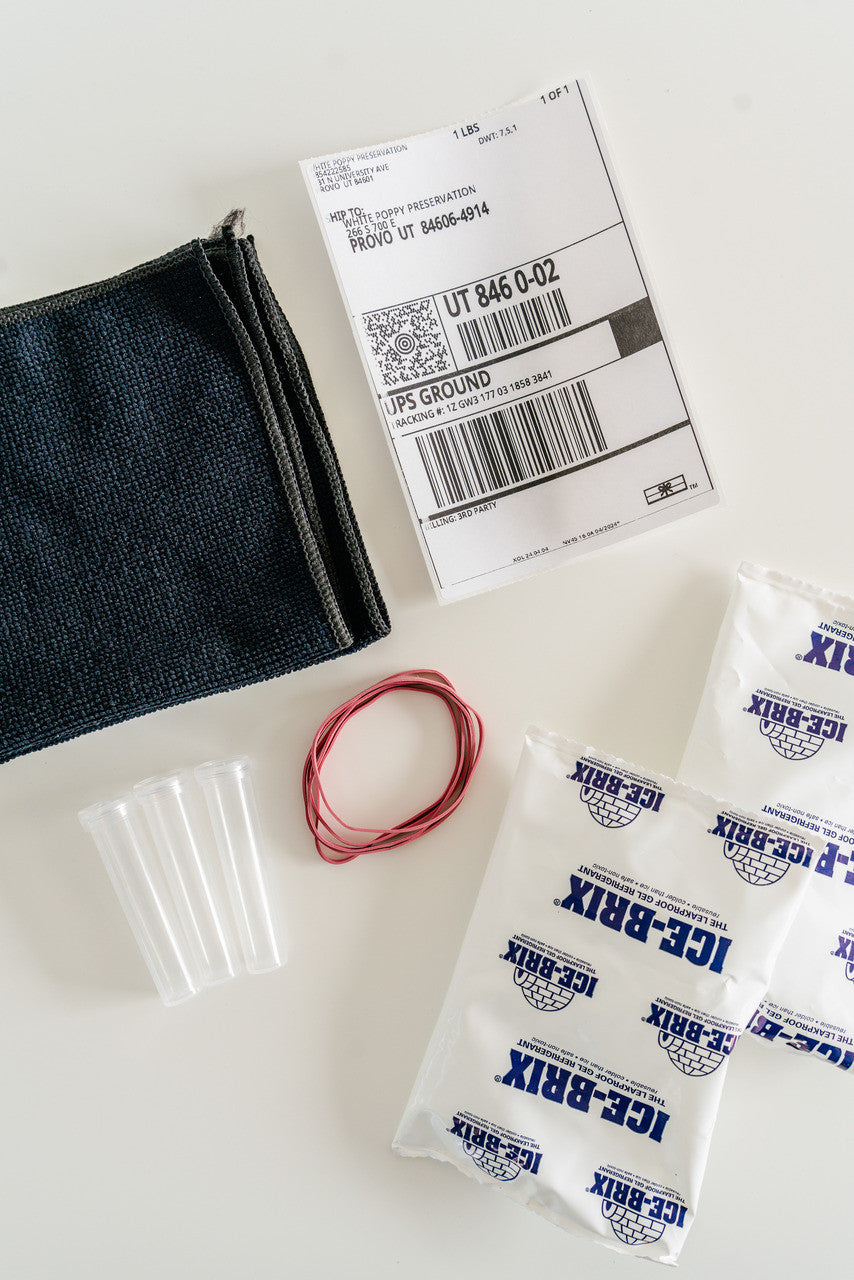 Shipping Kit + Prepaid Label | 3 Day Shipping