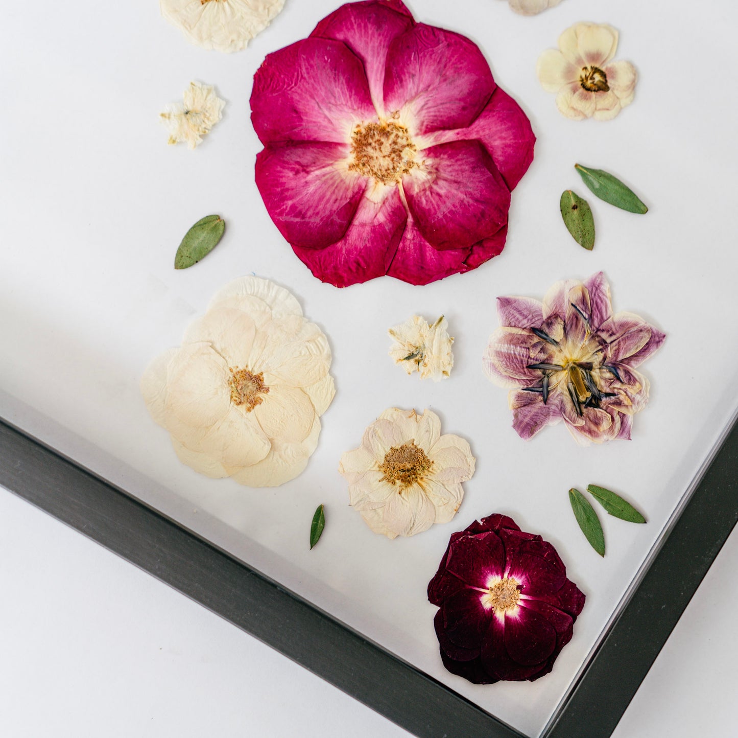 *BESTSELLER* Pressed Frame - Diagonal Design (You Ship Your Flowers)