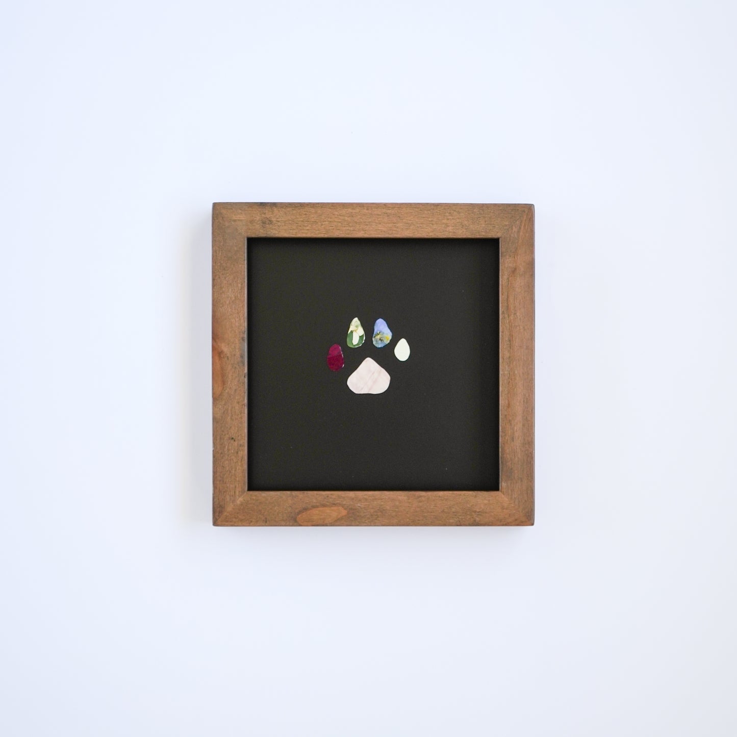 Pawprint Pressed Frame