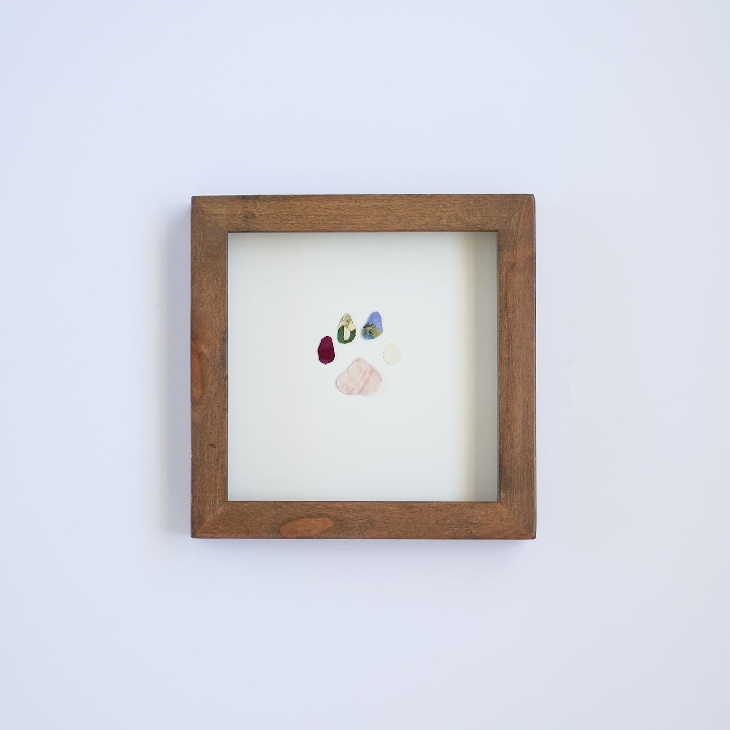 Pawprint Pressed Frame