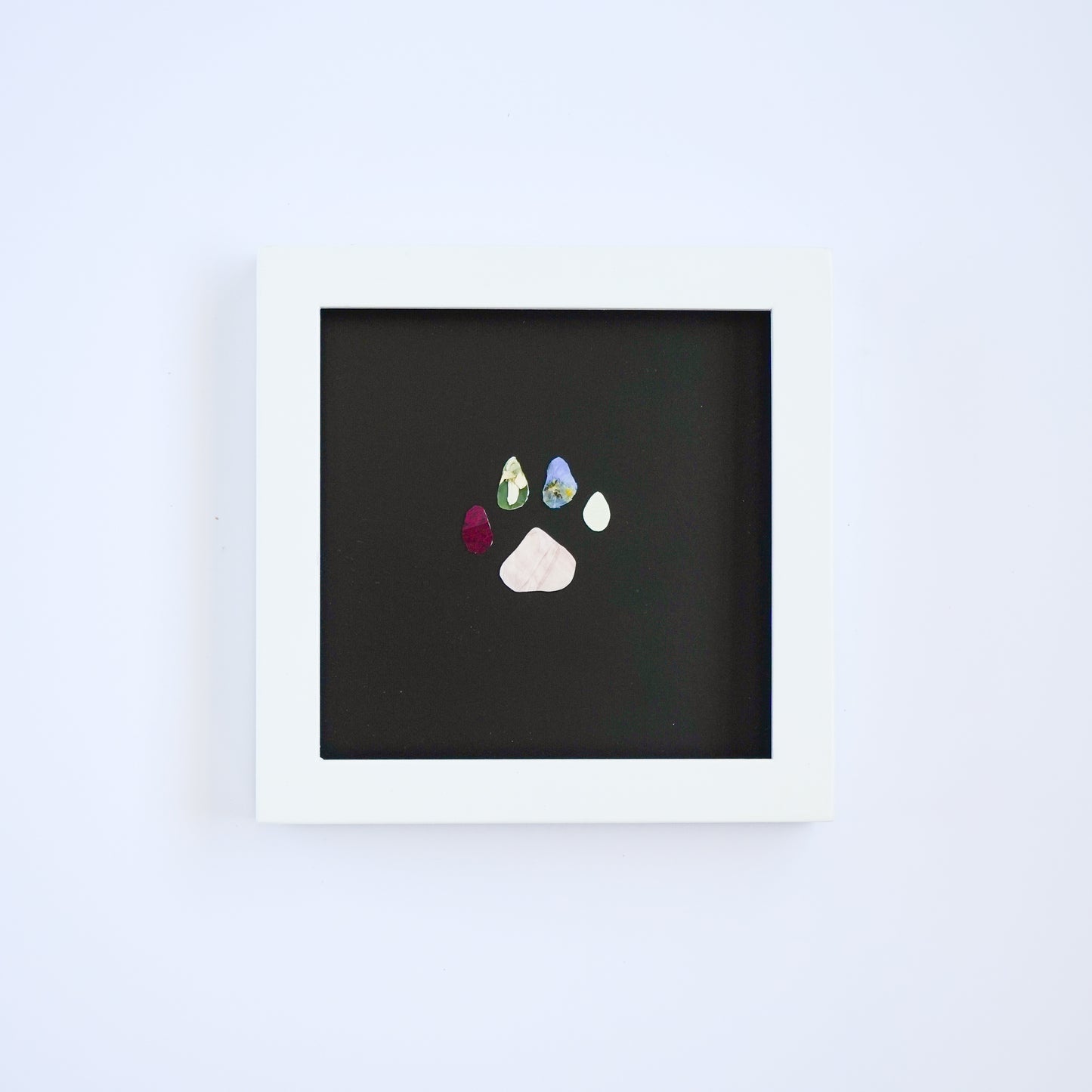 Pawprint Pressed Frame