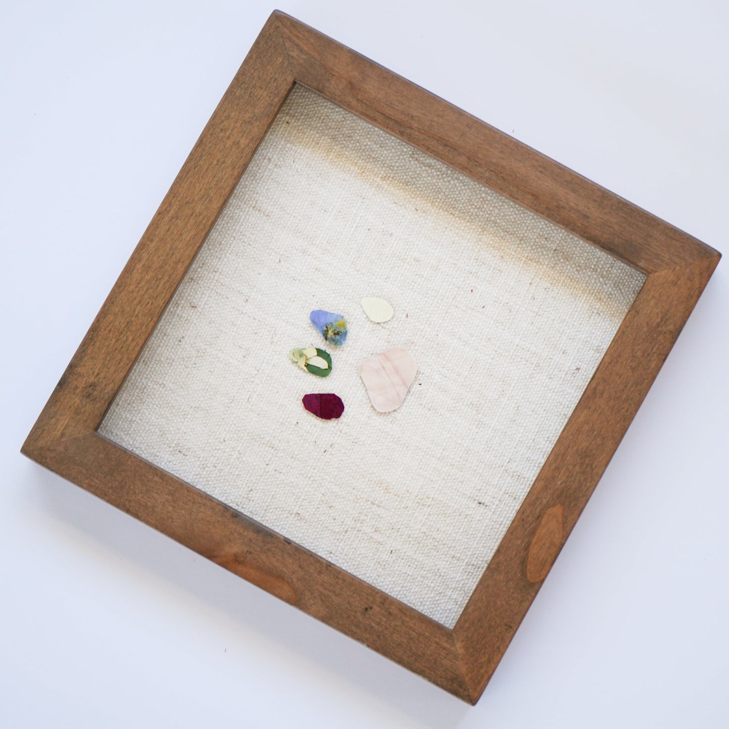 Pawprint Pressed Frame
