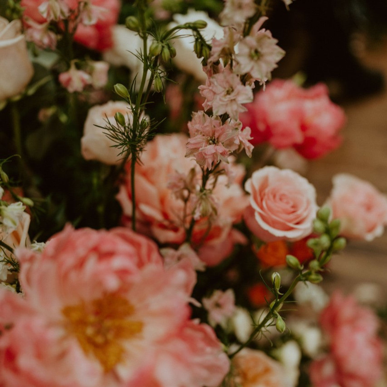 Repurchase Additional Flowers – White Poppy Preservation