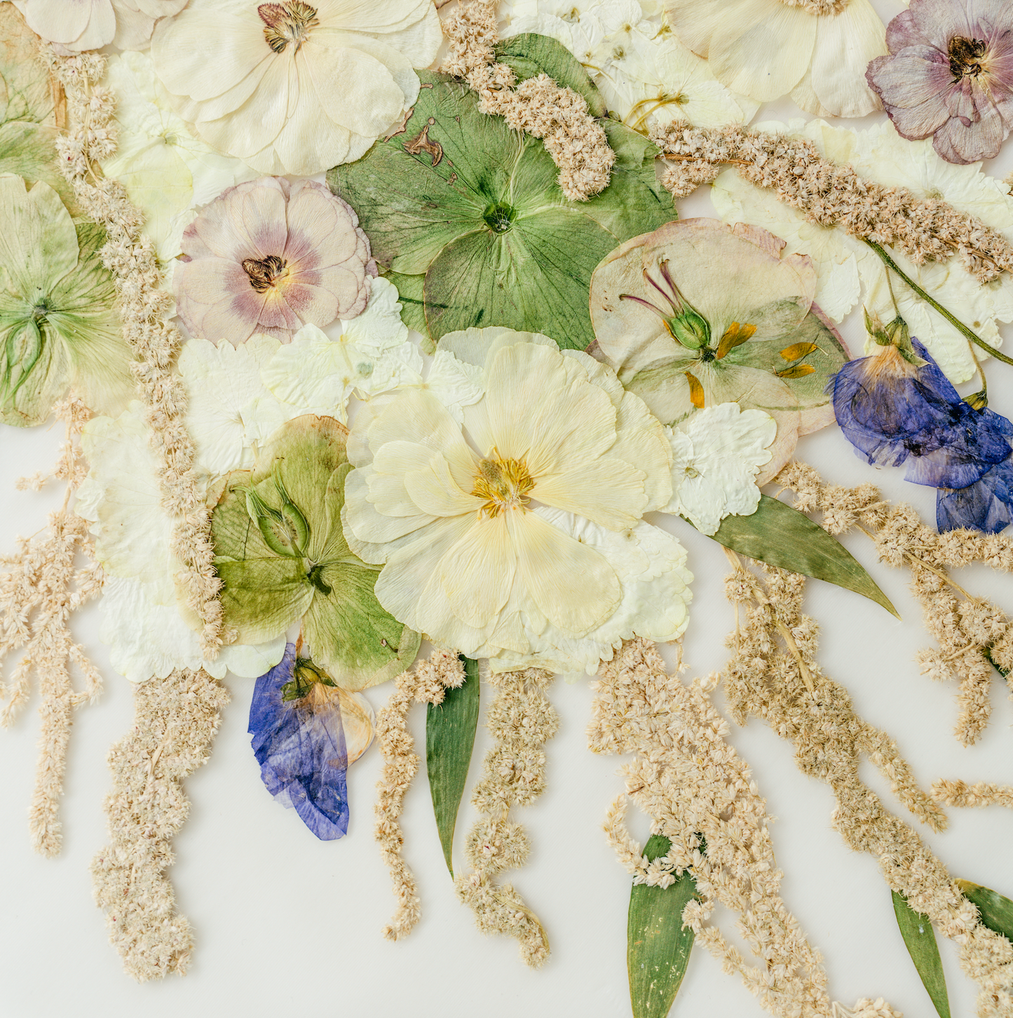 *BESTSELLER* Pressed Frame - Cascading Design (You Ship Your Flowers)