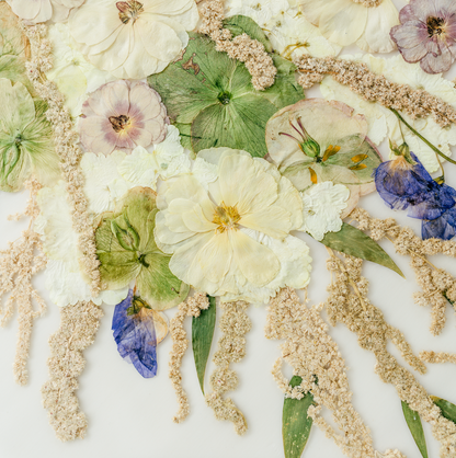 *BESTSELLER* Pressed Frame - Cascading Design (You Ship Your Flowers)