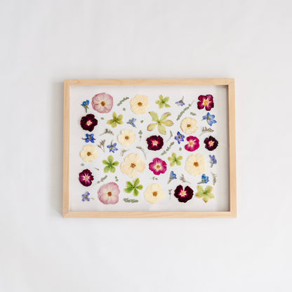 *BESTSELLER* Pressed Frame - Abstract Design (You Ship Your Flowers)
