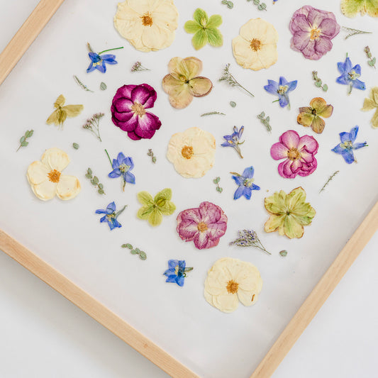 *BESTSELLER* Pressed Frame - Abstract Design (You Ship Your Flowers)