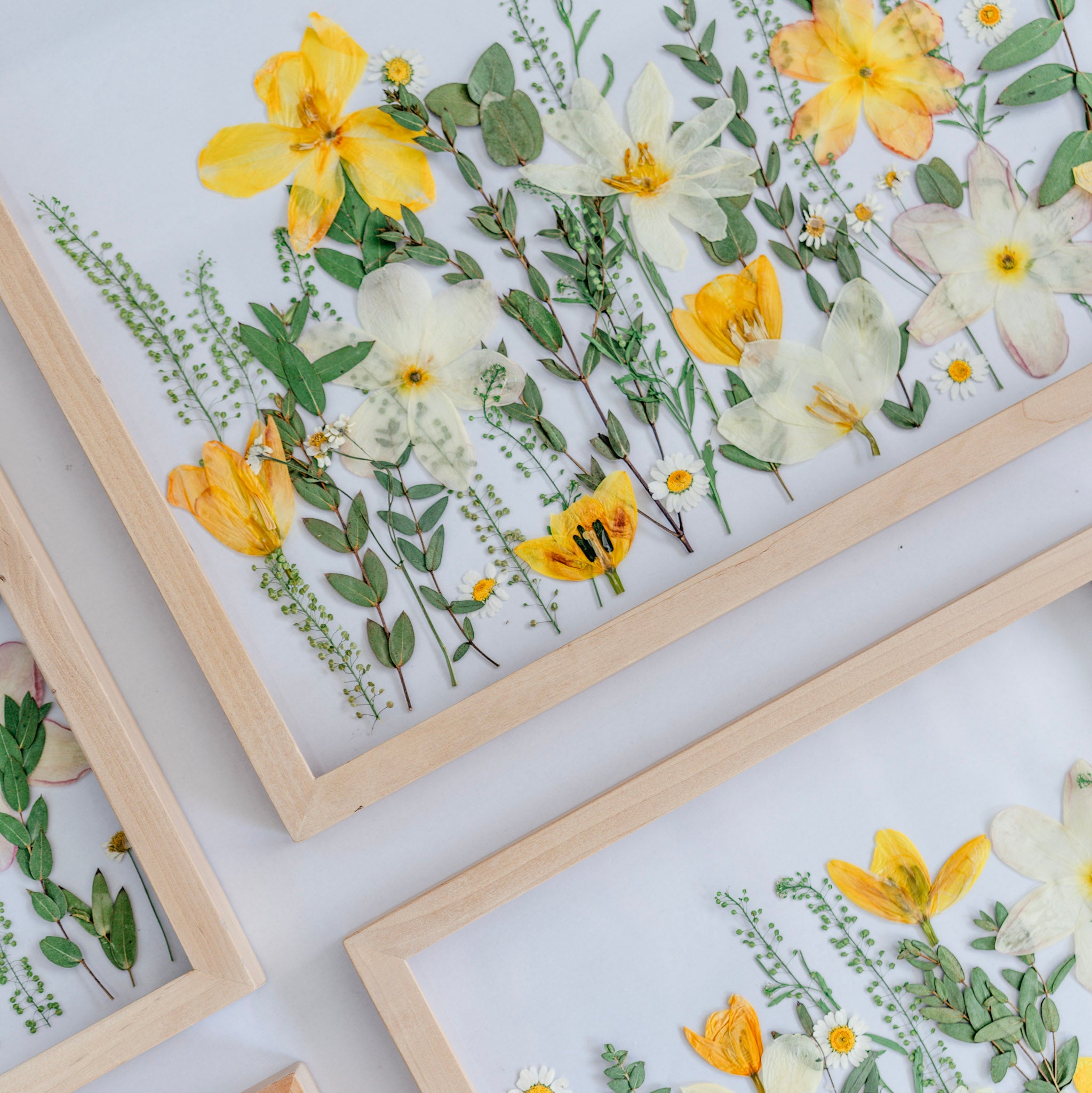 *BESTSELLER* Pressed Frame - Garden/Meadow Design (You Ship Your Flowe