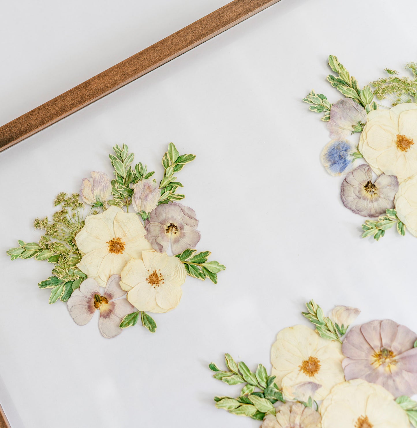 *BESTSELLER* Pressed Frame - Clumps Design (You Ship Your Flowers)