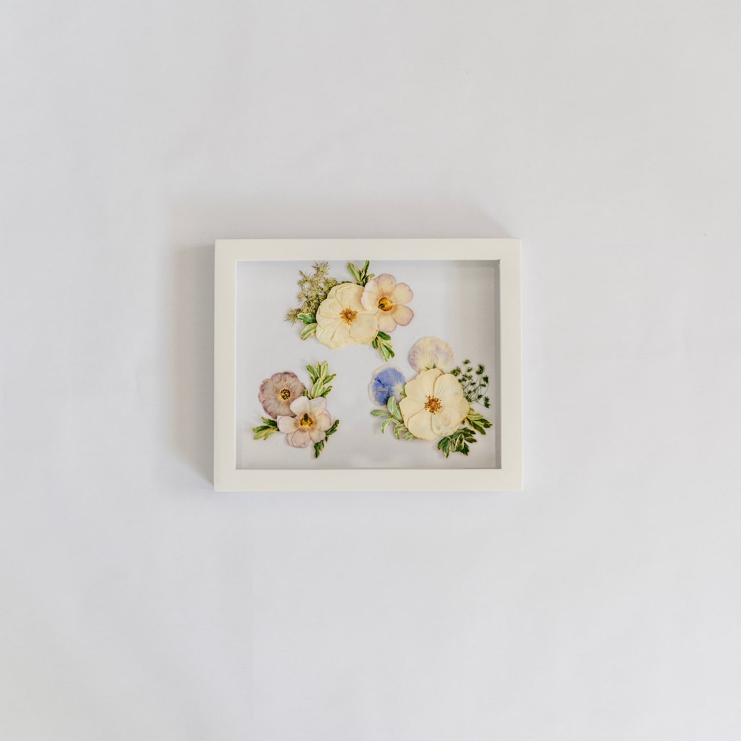 *BESTSELLER* Pressed Frame - Clumps Design (You Ship Your Flowers)