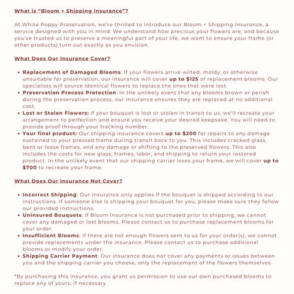 *NEW* Bloom + Shipping Insurance