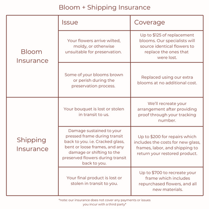 *NEW* Bloom + Shipping Insurance