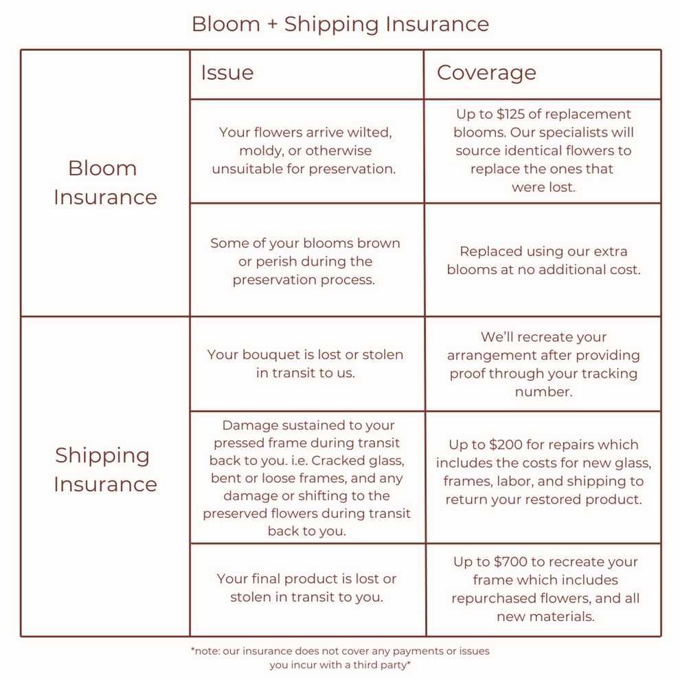 *NEW* Bloom + Shipping Insurance – White Poppy Preservation