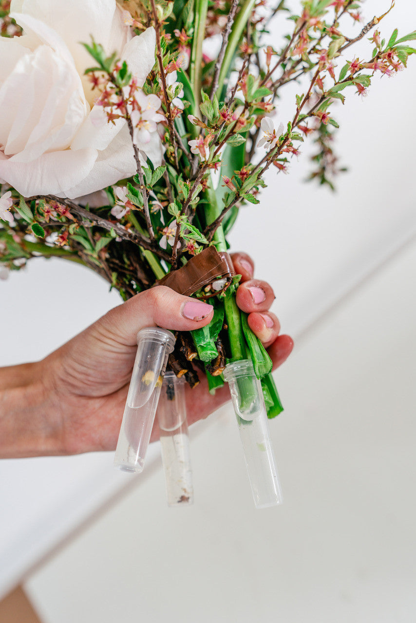 Shipping Kit + Prepaid Label | 1 Day / Overnight Shipping