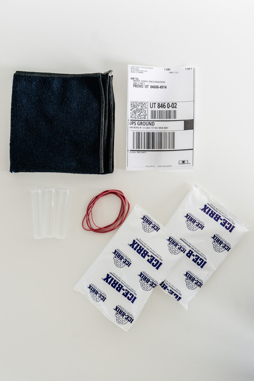 Shipping Kit + Prepaid Label | 3 Day Shipping