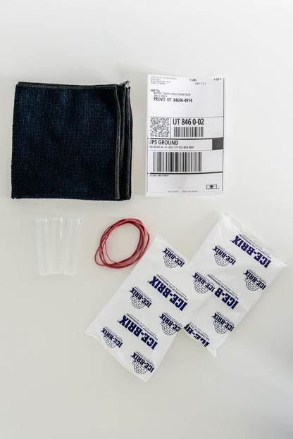 Shipping Kit + Prepaid Label | 1 Day / Overnight Shipping