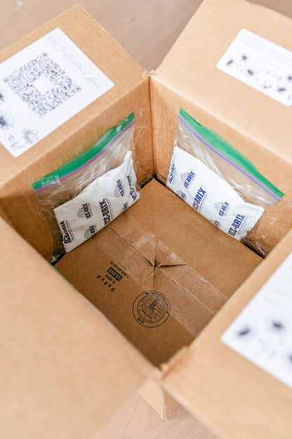Shipping Kit + Prepaid Label | 1 Day / Overnight Shipping