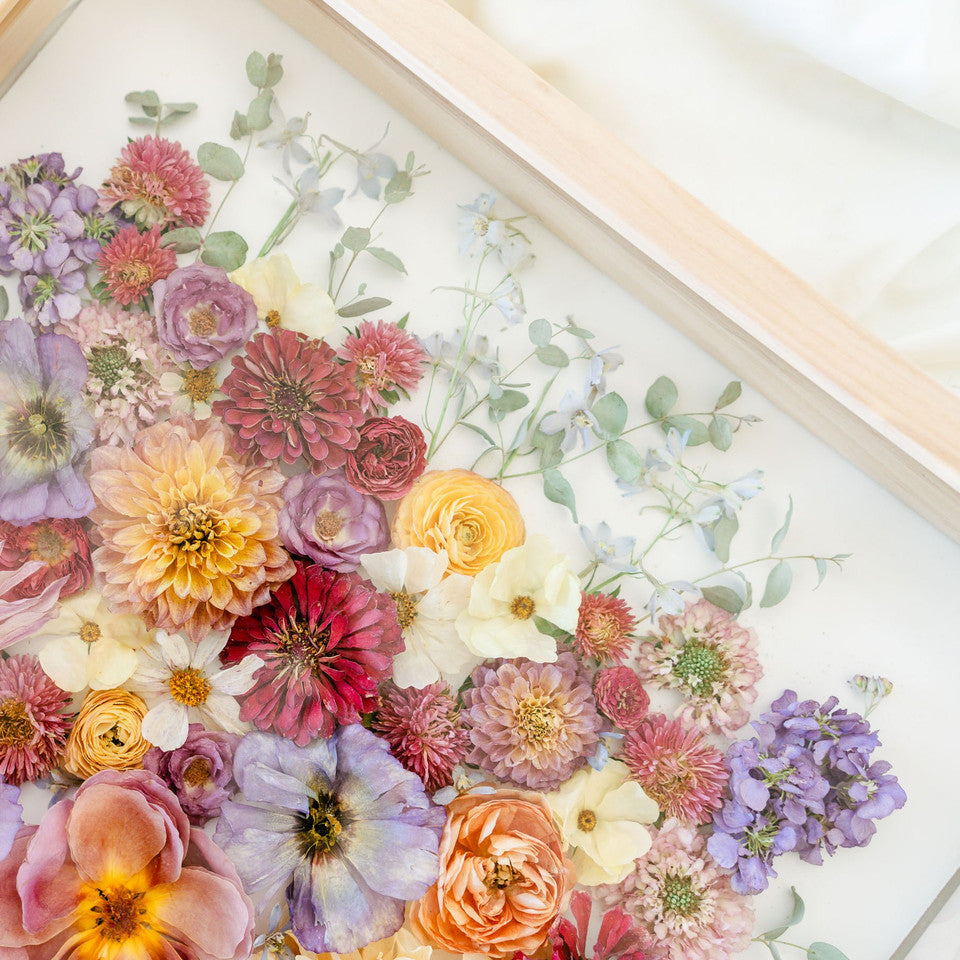 Frontal Facing Shadow Box *PICKUP IN UTAH ONLY*