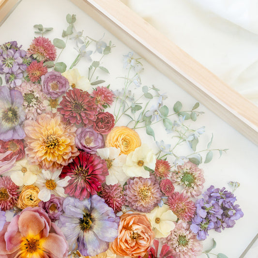 Frontal Facing Shadow Box *PICKUP IN UTAH ONLY*