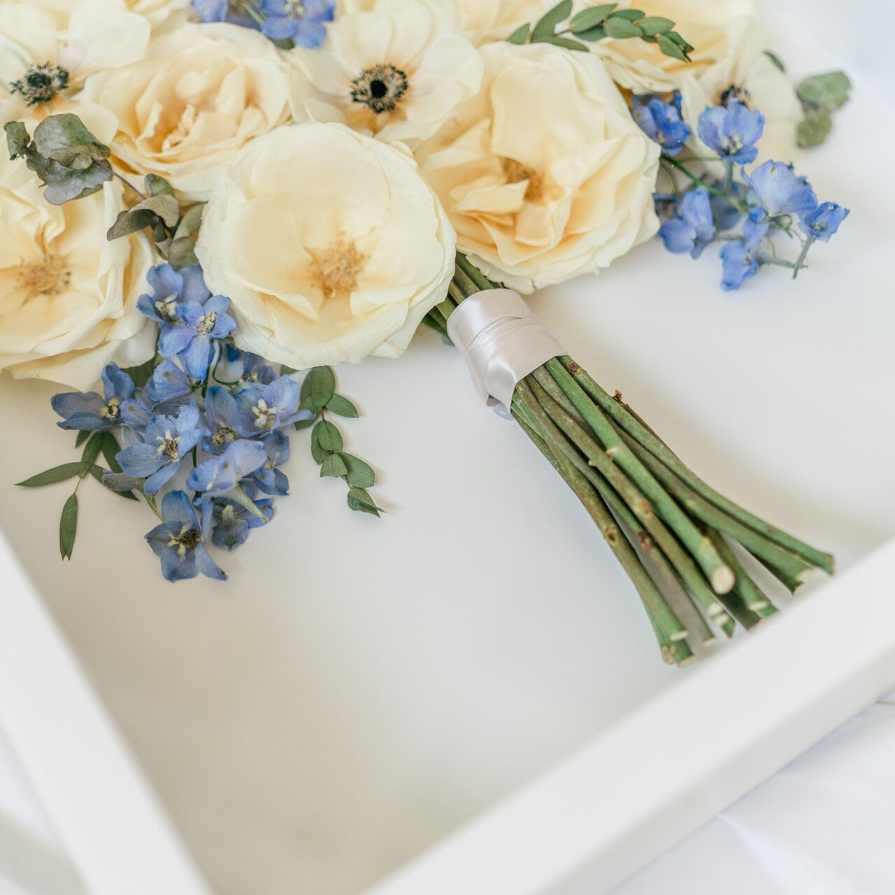 Frontal Facing Shadow Box *PICKUP IN UTAH ONLY*