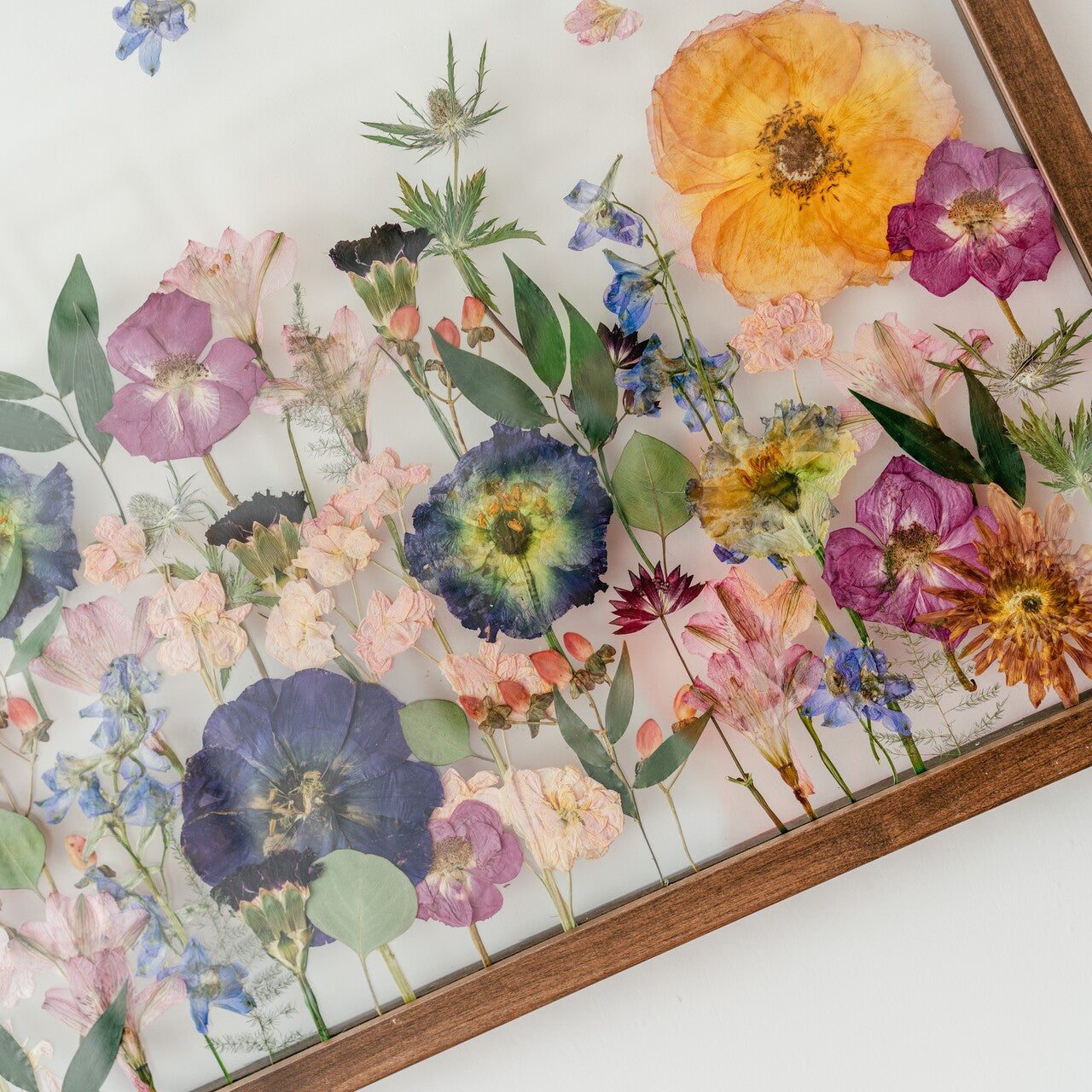 Pressed Frame - Recreation Full Design (We Repurchase Your Wedding Bouquet)